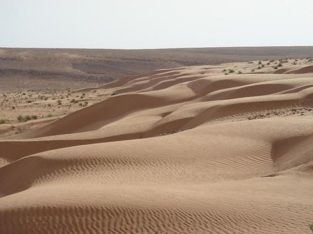 Shifting sands on route to 31N 11E