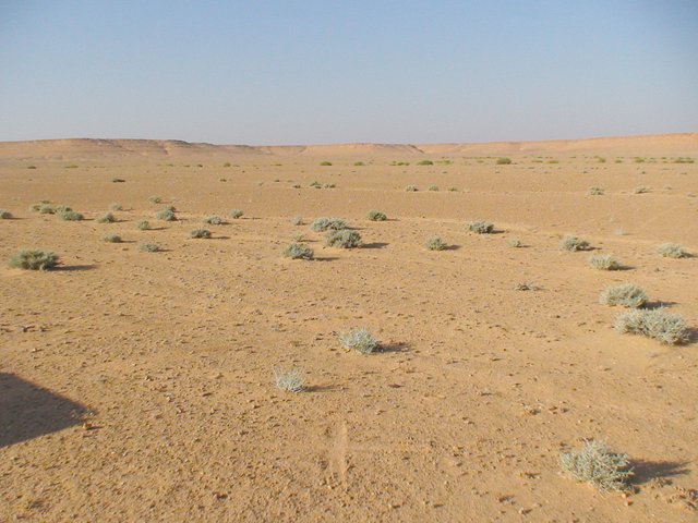 General view of confluence 31N 12E, cross in the foreground marking the spot