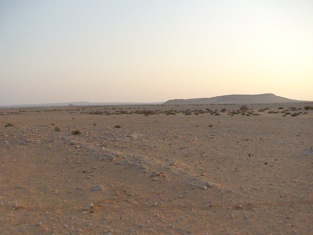 General view of Confluence 31N 15E, cross in the foreground marking the spot