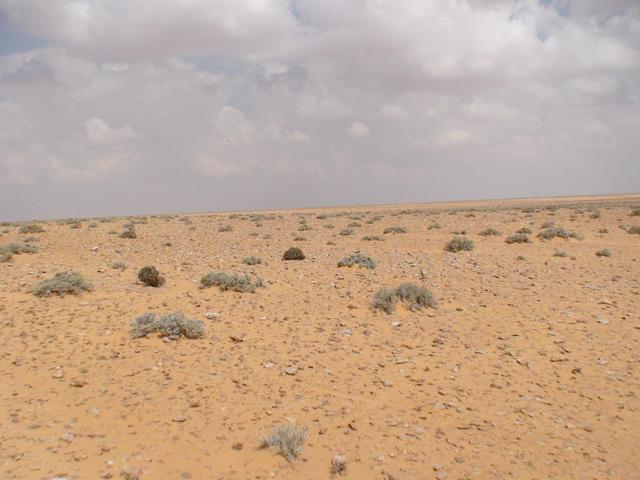 General view of Confluence 31N 16E, cross in the foreground marking the spot