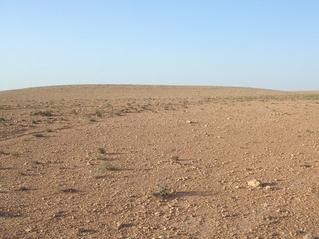 #1: View North, Confluence point in foreground near rock