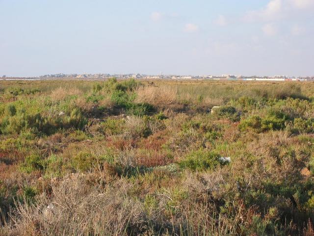 Zoom view of Banġāziy from the Confluence