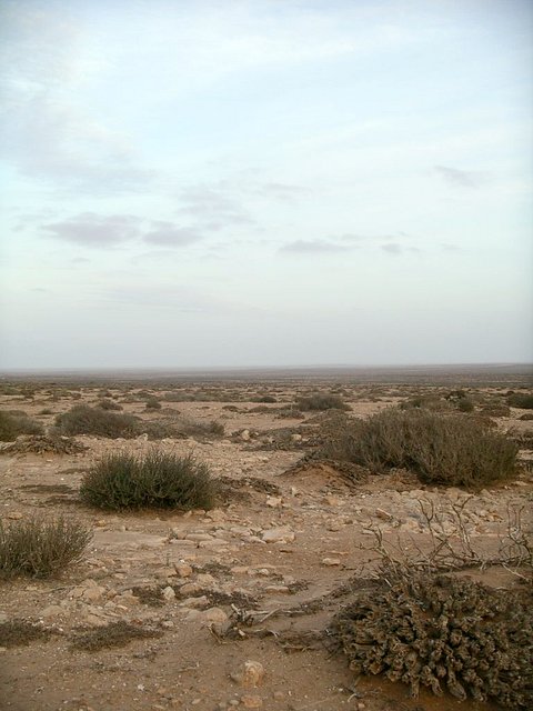 Afternoon at the Confluence, looking East