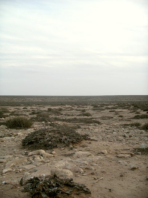 Afternoon at the Confluence, looking South