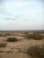 #2: Afternoon at the Confluence, looking East