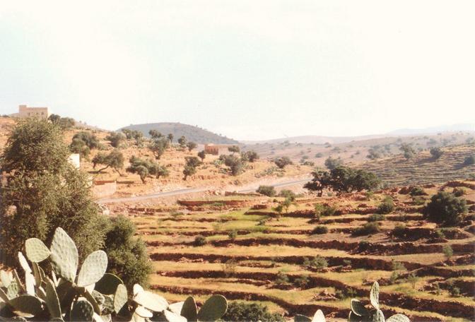 General view of Confluence area (Confluence on the road through the picture's centre)