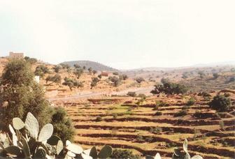 #1: General view of Confluence area (Confluence on the road through the picture's centre)