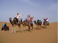 #7: Erg Chebbi