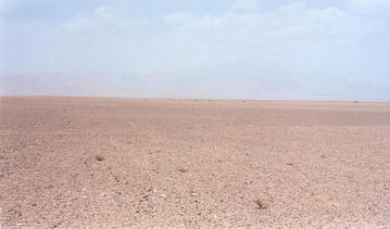 #1: Looking north at the Confluence