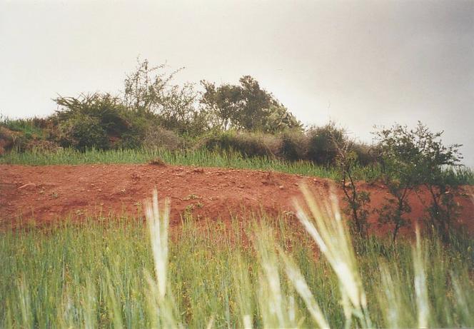 View towards north from Confluence