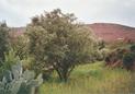 #6: View towards west from Confluence