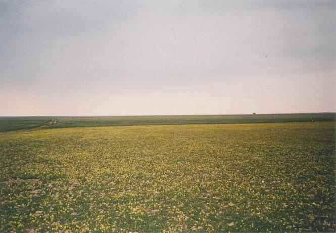 View towards north from Confluence