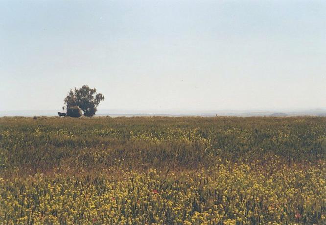 View towards east from Confluence