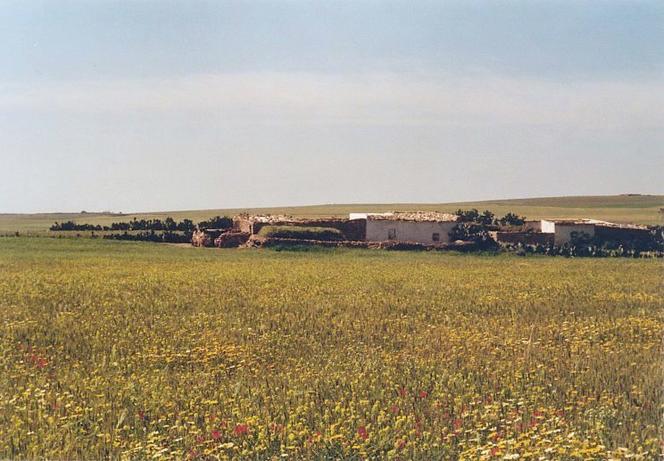 View towards south from Confluence