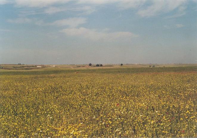 View towards west from Confluence