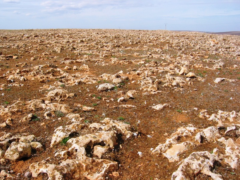 Landscape near the confluence point