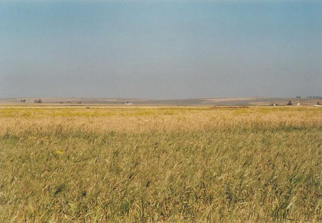 View towards east from Confluence