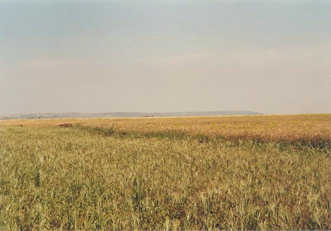 View towards south from Confluence