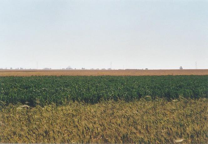 View towards west from Confluence