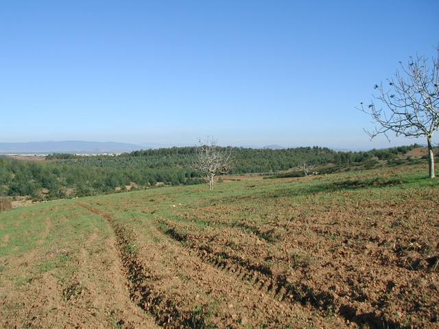 Looking east from the Confluence