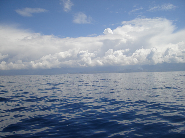 the coastline taken from the confluence