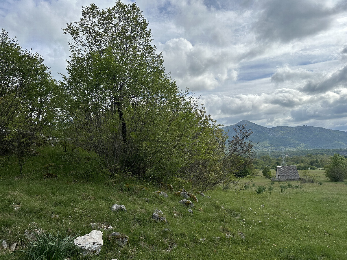 The Confluence from 10m Distance