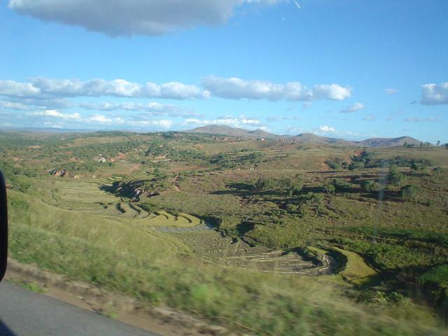 Some of the rice paddies in the area along our way back to Tana