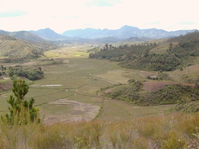 The point seen from a hill in the South