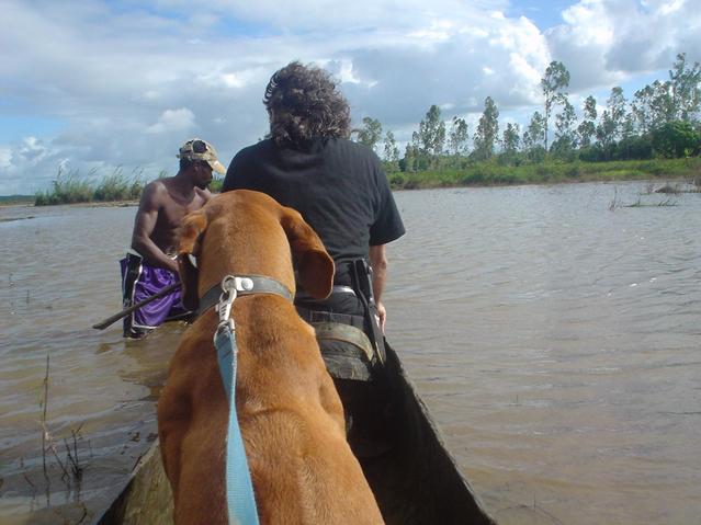 Crossing flooded rice paddies south of 19S 49E