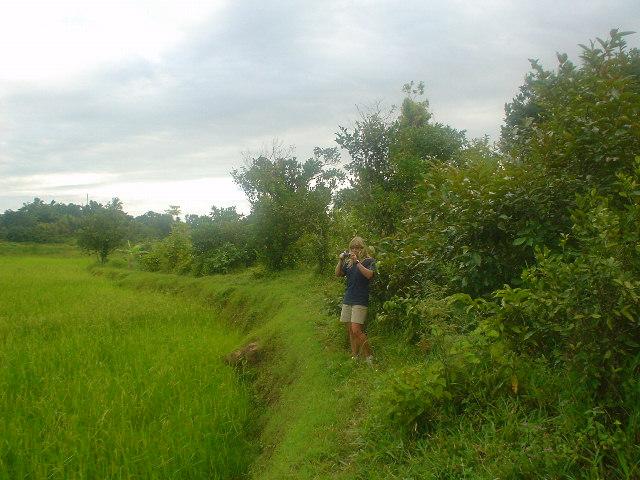 Wendy overlooking a rice paddy