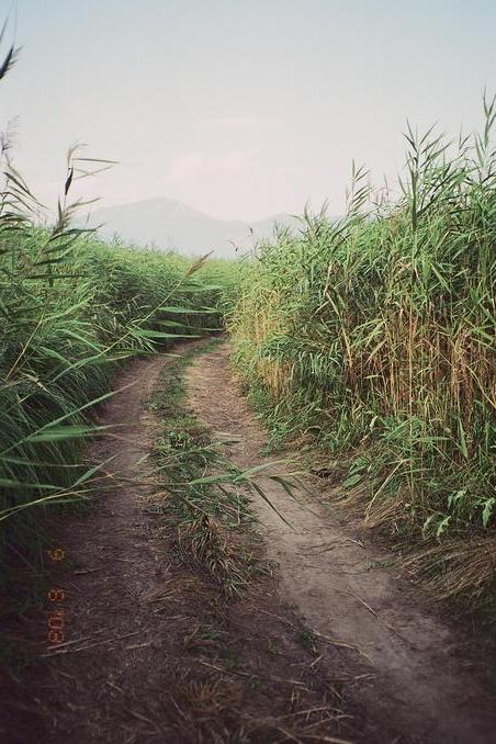 the track which got us closest to the confluence