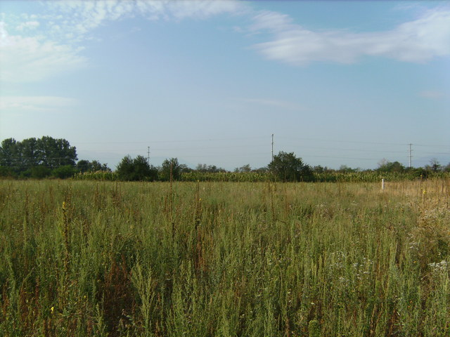 Blick nach Süden - View south