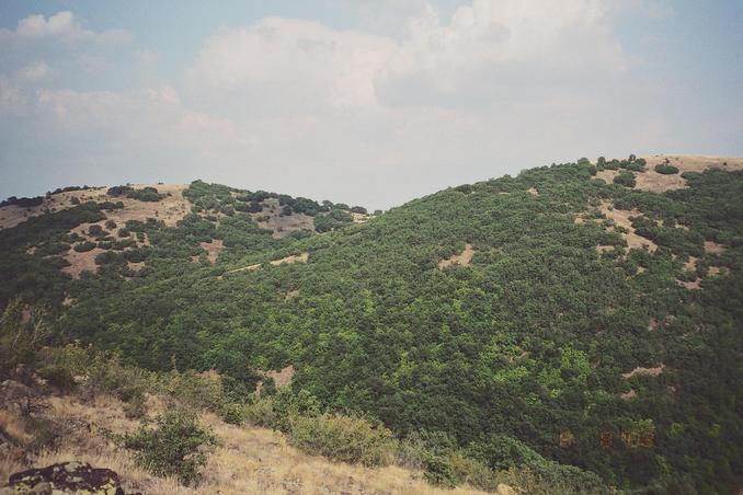 three kilometers from the confluence, the opposite side of the inpenetrable valley