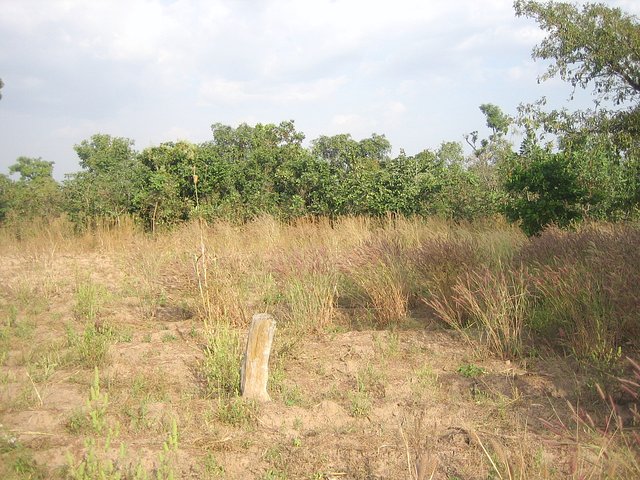 Photo at Confluence looking east