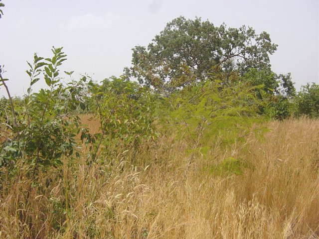 The confluence point, view towards south