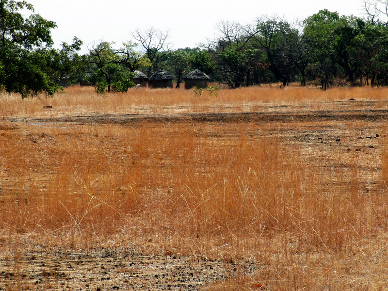 3 round huts in the shrub forest