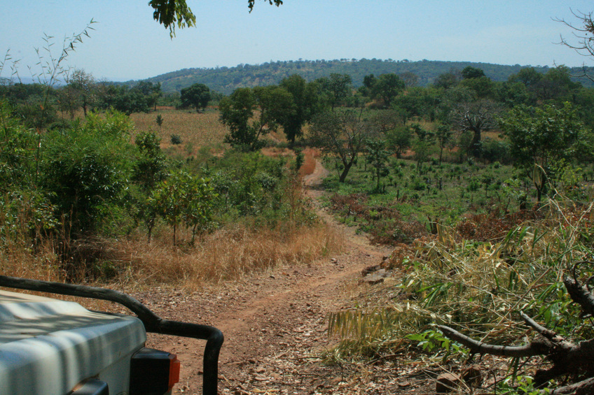 Road to the Confluence