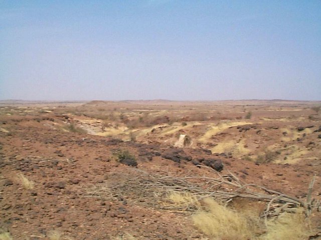 A general view of the area looking northwest