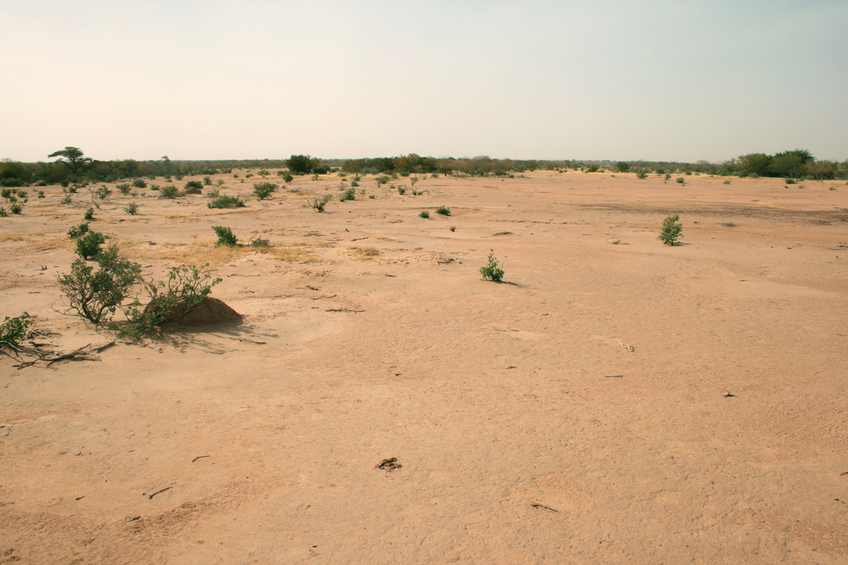 Oued view to the South