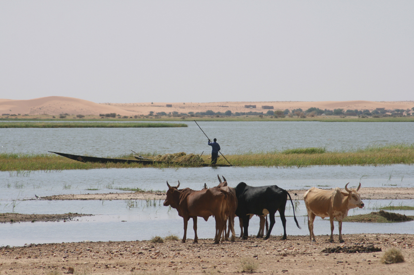 Workaday life at the Niger