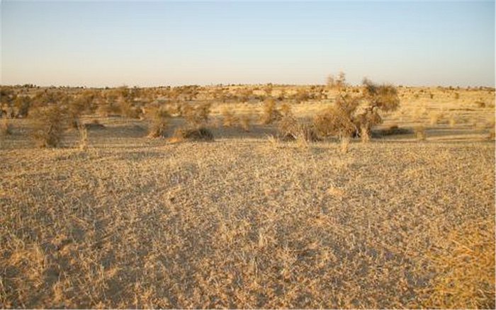 Looking north from the site.