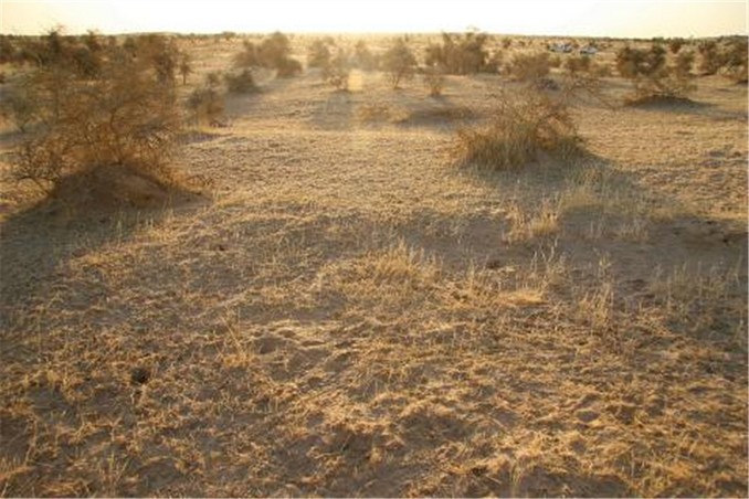 Looking west from the site