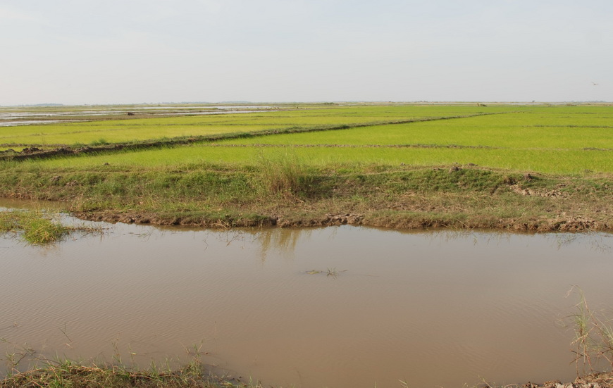 Confluence point at center - 30 meters away behind the raised earth divide  