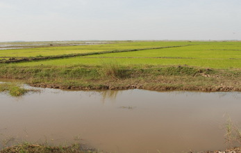 #1: Confluence point at center - 30 meters away behind the raised earth divide  