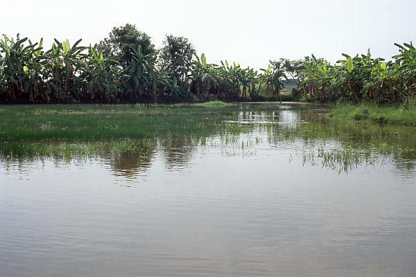 View from the degree confluence to the south