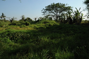 #1: General view and looking toward South