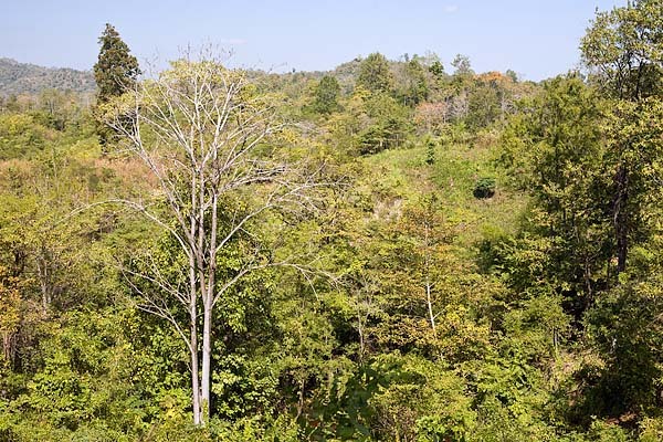 View to the north from the degree confluence