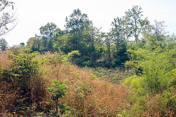 View to the south from the degree confluence