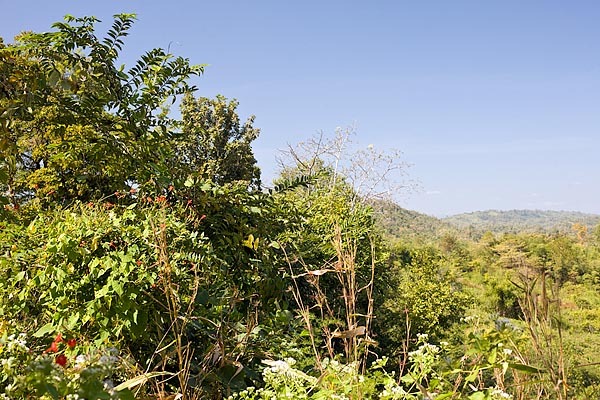 View to the west from the degree confluence