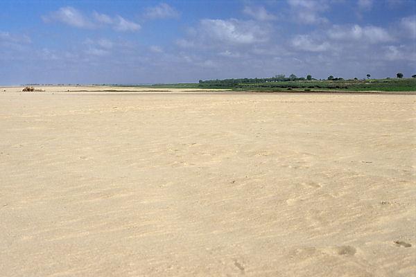 View to the north from the degree confluence